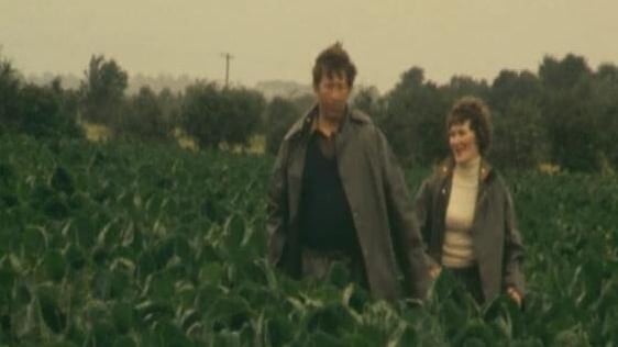 Farmers in the field, 1980
