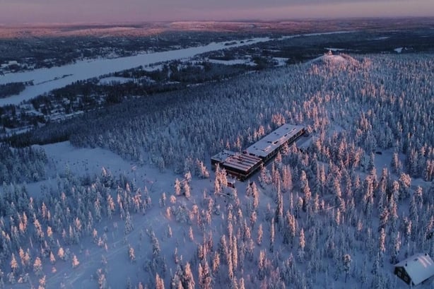 A snow covered forest