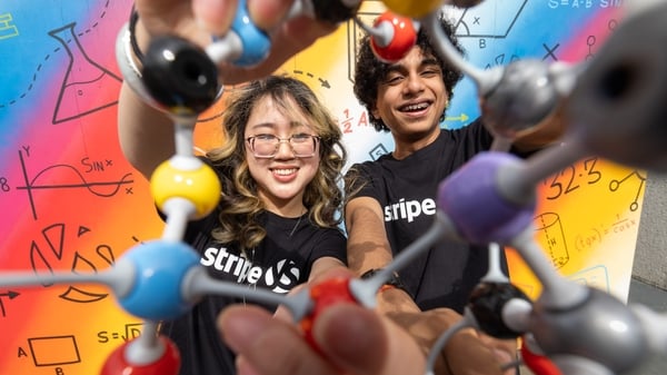 Students preparing for the Young Scientist and Technology Exhibition