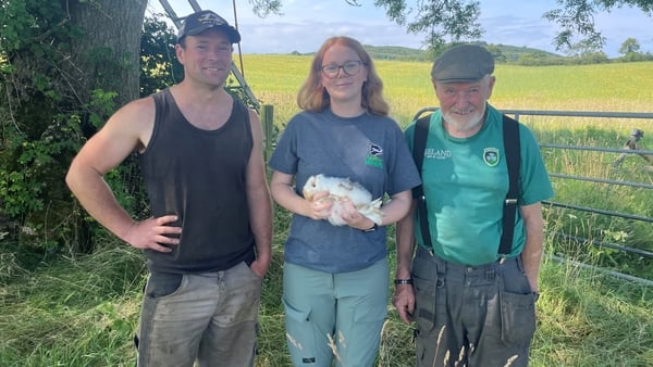 Adam and Jack Kelly on their farm with Katy Bell from Ulster Wildlife