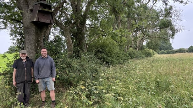 Jack and Adam Kelly on their farm in Co Down