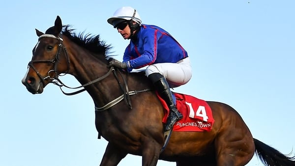 26 April 2022; Koyote, with Mikey O'Connor up, left, and De Nordener, with Derek O'Connor up, jump Ruby's Double during the Kildare Hunt Club Cross Country Steeplechase for the Ladies Perpetual Cup on day one of the Punchestown Festival at Punchestown Rac