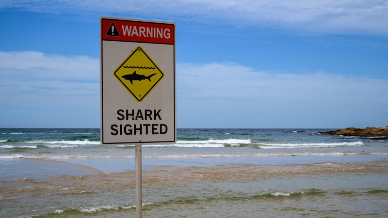 The fatal shark attack was the first in Sydney since 2022