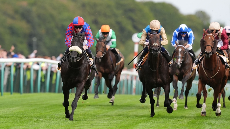 Big Mojo (sheepskin noseband) appreciated the return to six furlongs at Haydock
