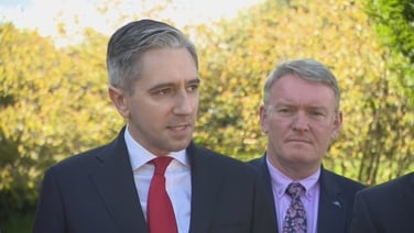 Tánaiste had to 'dig deep' to attend FG party meeting after threats