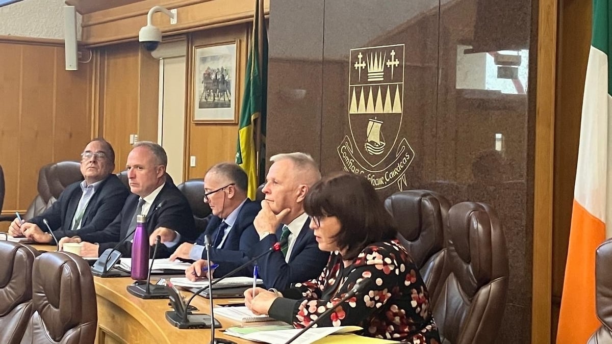 Presidential hopefuls make their pitch for nomination to Kerry County Council 