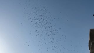 Israeli army drops leaflets over Gaza City ordering evacuation