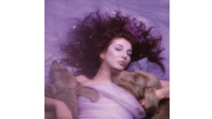 Hounds of Love at 40 show image