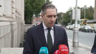 Tánaiste concerned about 'incursion of Polish airspace'
