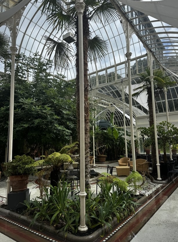 A Victorian greenhouse