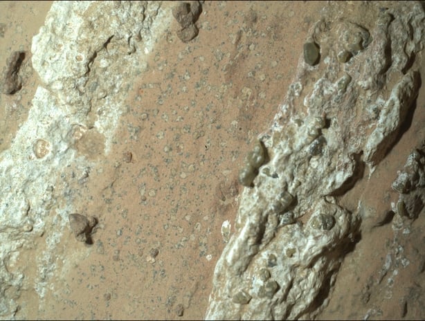 NASA's Perseverance Mars rover captured this image of a rock nicknamed "Cheyava Falls" on July 18, 2024