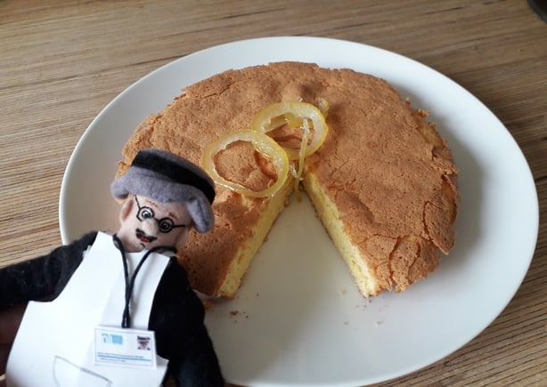 A photo of a homemade lemon cake with a plush toy beside it