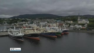 Fishing organisations concerned EU regulations will make fish more expensive