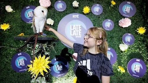 Meet the Late Late owl at the Ploughing