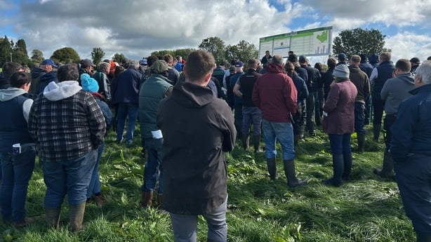 A 'farm walk' at Deelside Farm in Co Westmeath