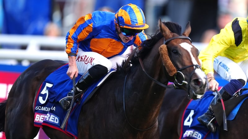 Tom Marquand got Scandinavia home first in the Leger