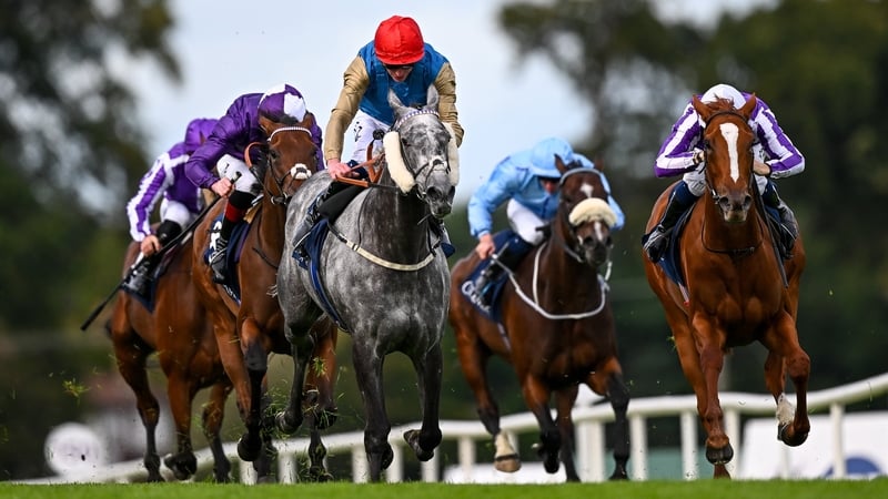 The grey Fallen Angel went one place better in the Matron Stakes after filling the runner-up spot last season