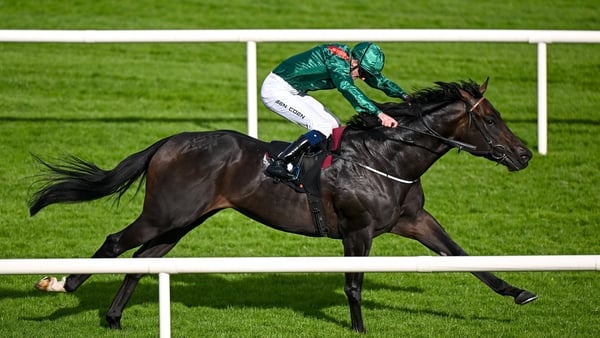 Dublin , Ireland - 13 September 2025; Alakazi, with Ben Coen up, on their way to winning the Tonybet Solonaway Stakes during day one of the Irish Champions Festival at Leopardstown Racecourse in Dublin. (Photo By Seb Daly/Sportsfile via Getty Images)