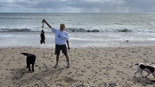 Karin Dubsky of Coastwatch Ireland holding up seaweed with her two dogs beside her