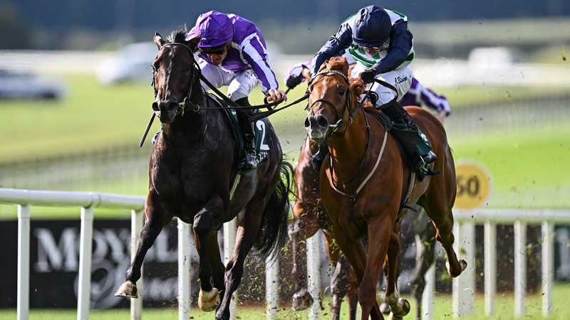 Zavateri (near side) came out on top in the National Stakes after a protracted duel with Gstaad