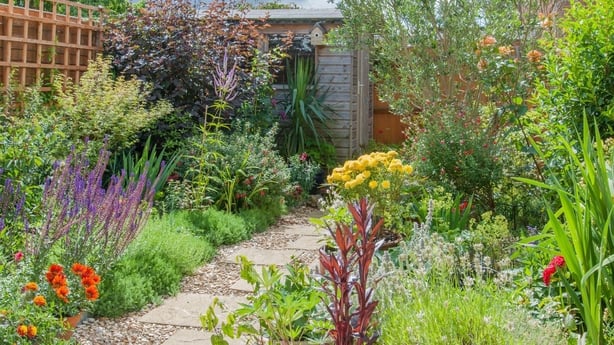 A well planted garden