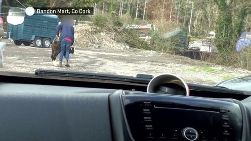 This mistreatment was first revealed in an RTÉ Investigates documentary in July 2023