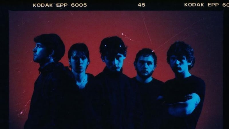 Cardinals. Photo credit: Steve Gullick