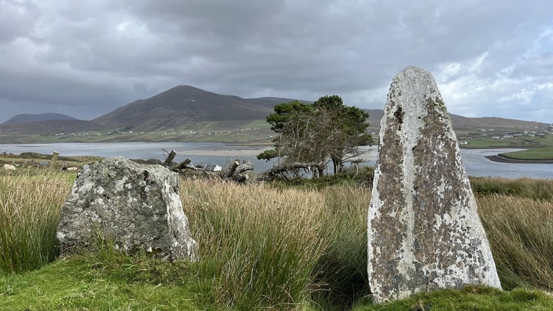 The stones were uncovered after trees fell during Storm Éowyn