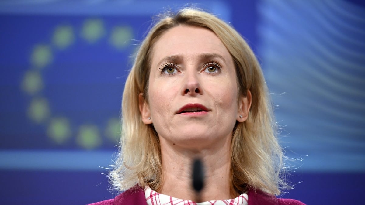 EU Foreign Policy chief urges EU members to back trade sanctions on Israel