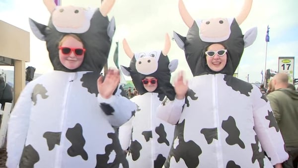 Three girls in fancy dress as daiory cows at the National Ploughing Championships.
