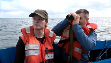 Seabird census helping conservation efforts on Ireland’s Eye