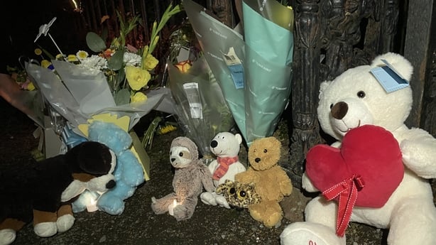 Flowers at Donabate search site