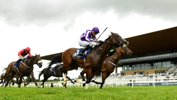 Curragh racecourse