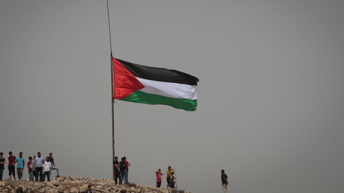 Diarmuid Ó Cuív, Gluaiseacht Dlúthpháirtíochta Idirnáisiúnta.