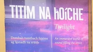 Muireann Kelly, Stiúrthóir Ealaíne na Taibhdheirce.  show image