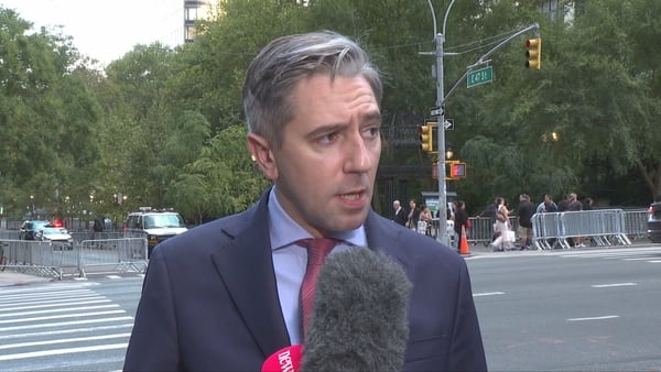 Simon Harris speaking in New York