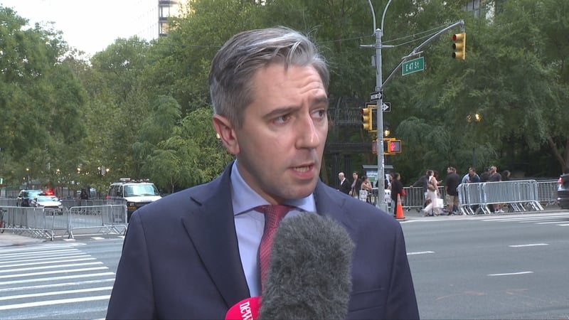 Tánaiste Simon Harris is in New York for the 80th session of the UN General Assembly