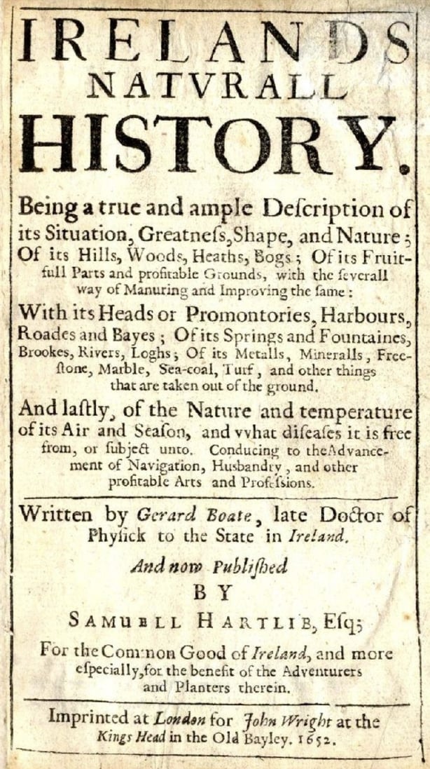 Boate Title Page