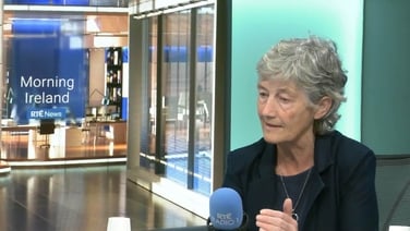Both Israel and Hamas committed war crimes - Connolly
