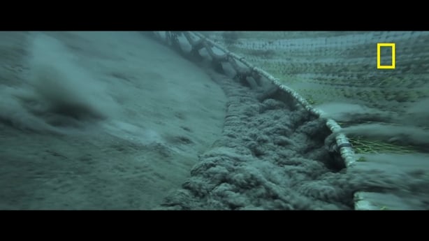 Screengrab from National Geographic