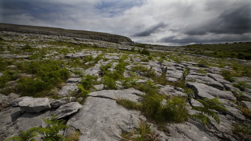 The lands are located on the periphery of the Burren in Co Clare (file pic)