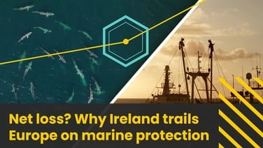 Prime Time: Net loss? Why Ireland trails Europe on marine protection
