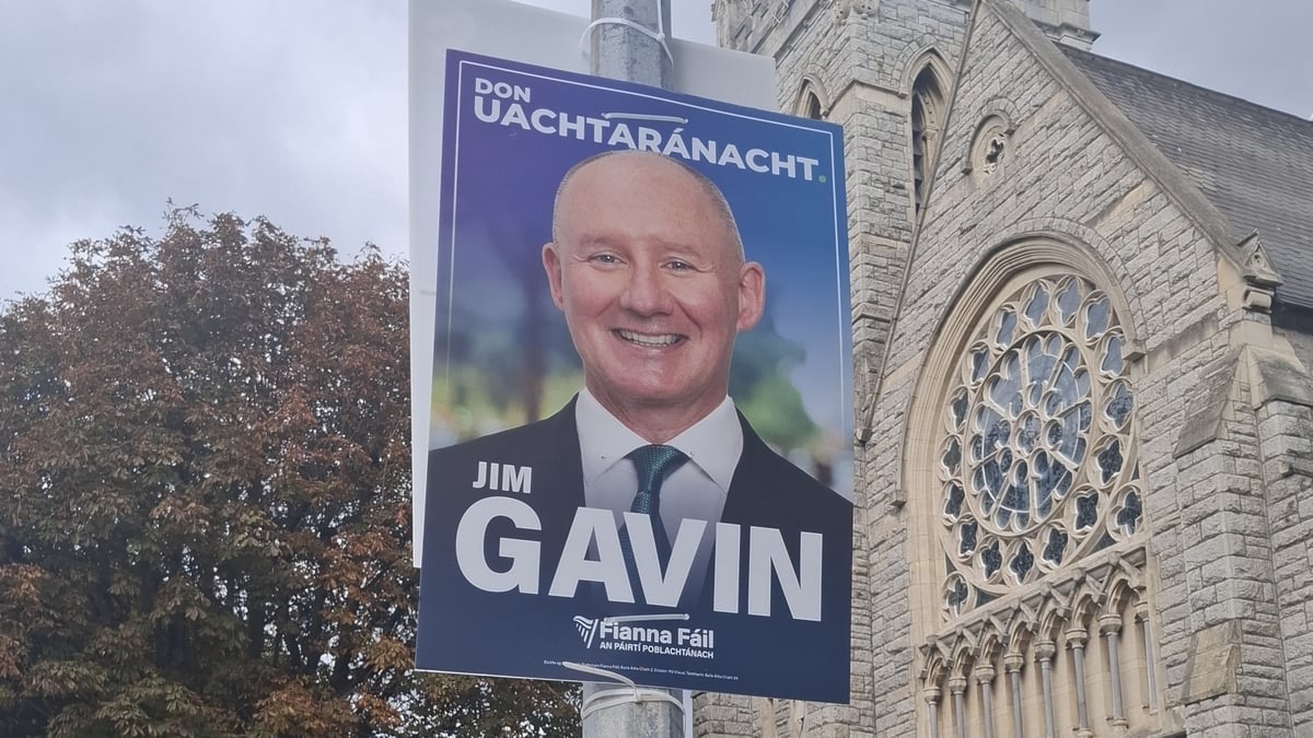 Presidency: Fianna Fáil was told of Gavin’s tenant issue before selection
