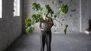 A R C H I P E L A G O : Through an Irish lens show image