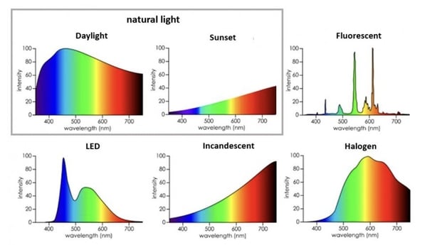 Daylight provides a broad, balanced spectrum of light that supports healthy eye development. By contrast, most indoor lights, especially LEDs and fluorescents, are narrower and richer in blue wavelengths.