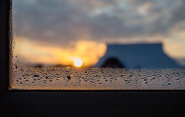 Condensation gathering on a window sill