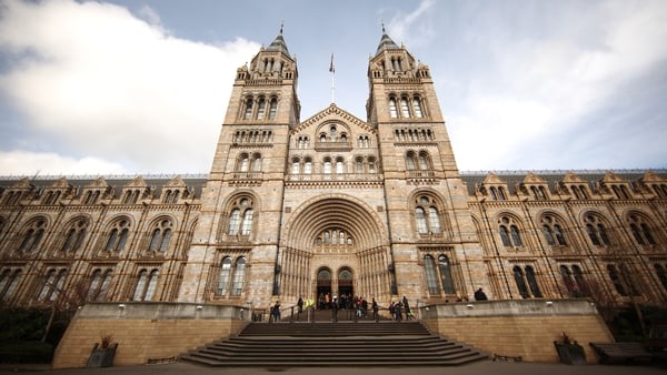 Exterior shot of the Natural History Museum in London on a sunny day
