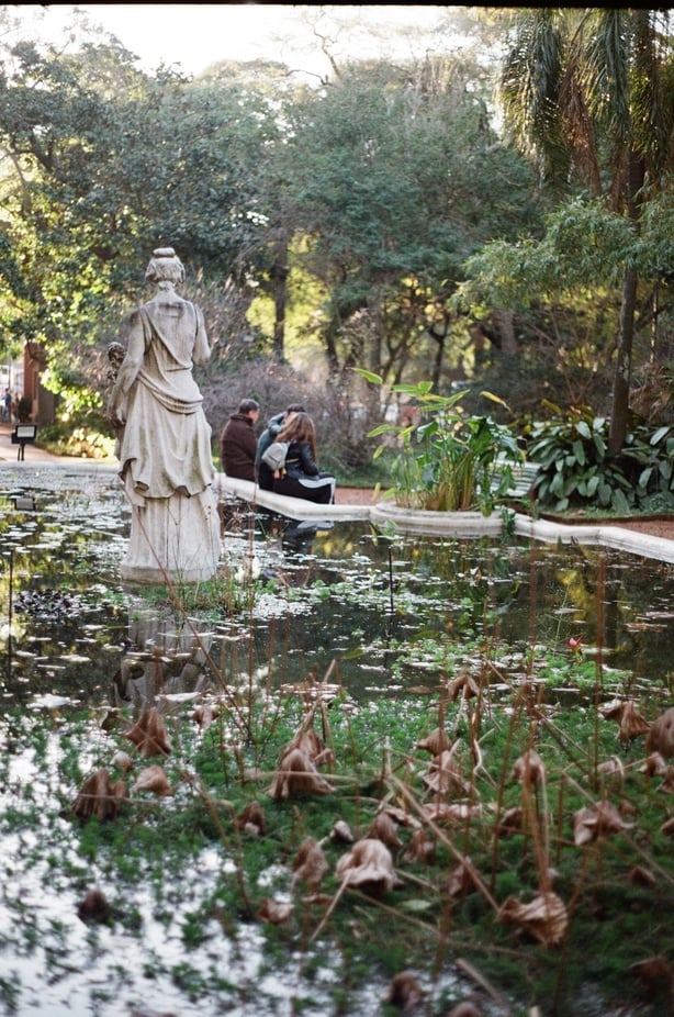 A grassy plot with a statue