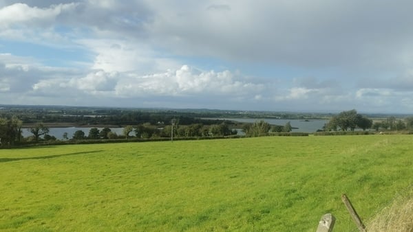 A green field beside a lake in Co Roscommon