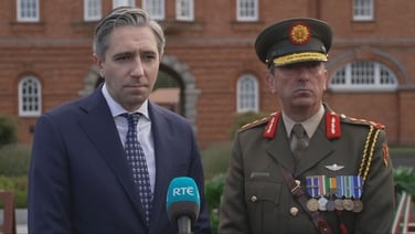 Irish peacekeepers could be sent to Ukraine 'if called to do so' - Harris